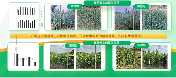 图片7_副本.png
