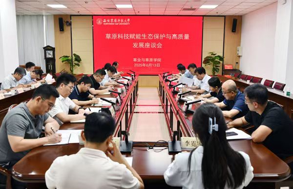 座谈会.jpg