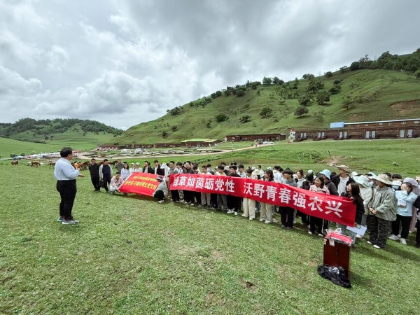 dfce107496f858a8d52cfea8e1595fcf_副本.jpg