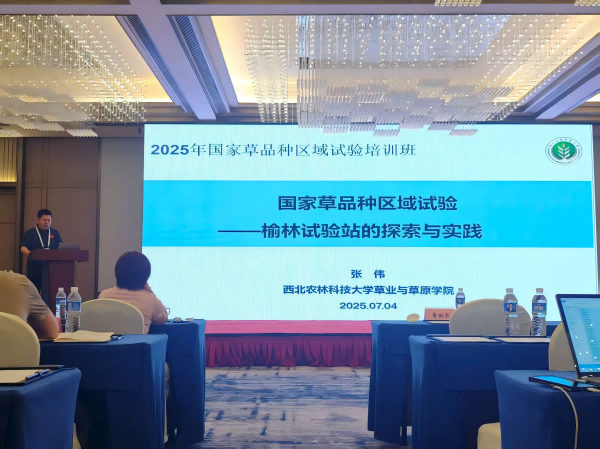 图片1(1).png