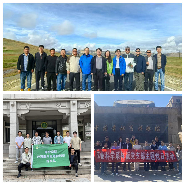 光影魔术手拼图.jpg